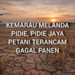 Kemarau Panjang Hantam Pidie–Pidie Jaya, Petani Resah Hadapi Ancaman Gagal Panen