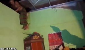 Bersembunyi di Plafon, Menantu di Gowa Ditangkap Polisi Terkait Dugaan Kekerasan Seksual terhadap Mertua
