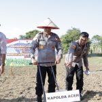 Dukung Swasembada Nasional, Kapolda Aceh Pimpin Tanam Raya Jagung Serentak di Aceh Besar
