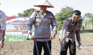 Dukung Swasembada Nasional, Kapolda Aceh Pimpin Tanam Raya Jagung Serentak di Aceh Besar