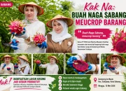 Meucrop, Kak Na Puji Sensasi Manis Buah Naga Hasil Petani Sabang