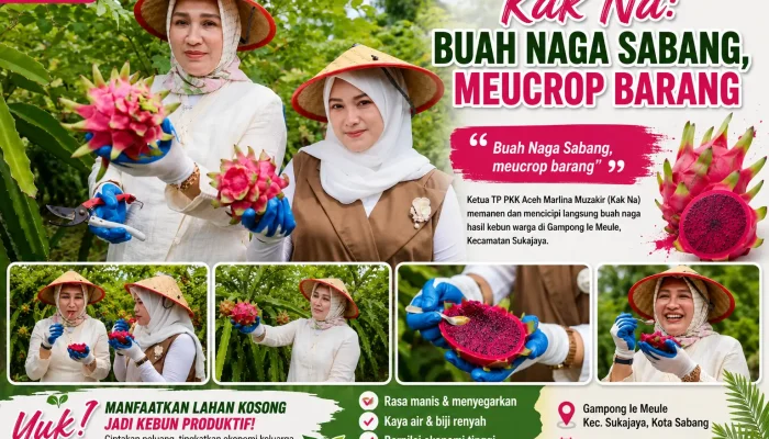 Meucrop, Kak Na Puji Sensasi Manis Buah Naga Hasil Petani Sabang