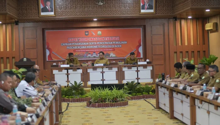 Mualem Minta Mendagri Percepat Pemulihan Sawah dan Jembatan Pascabencana di Aceh