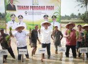 Sekda Aceh Pimpin Tanam Padi Perdana Pascabencana di Aceh Tamiang