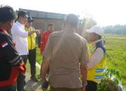 Sekda Aceh Tinjau Rehabilitasi Sawah di Aceh Timur, Kejar Percepatan Musim Tanam