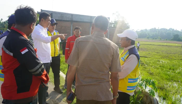 Sekda Aceh Tinjau Rehabilitasi Sawah di Aceh Timur, Kejar Percepatan Musim Tanam