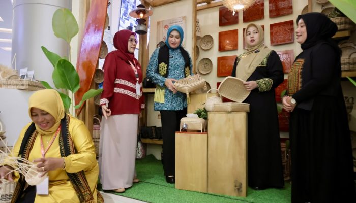 Ketua Dekranasda Aceh Tinjau Stand Produk Unggulan di HUT Dekranas ke-46