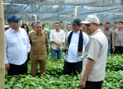 Mentan Tegaskan Dukungan Pengembangan Kopi Gayo Saat Kunjungi Bener Meriah