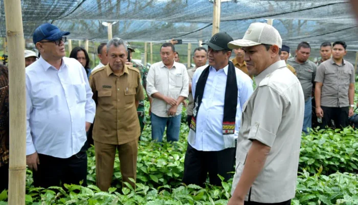 Mentan Tegaskan Dukungan Pengembangan Kopi Gayo Saat Kunjungi Bener Meriah