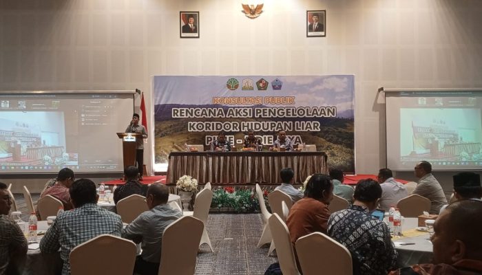 Sekda Aceh Buka Konsultasi Publik Renaksi Pengelolaan Koridor Hidupan Liar Pidie-Pidie Jaya