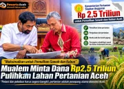 Mualem Minta Anggaran Rp2,5 Triliun Maksimal Pulihkan Sawah dan Kebun