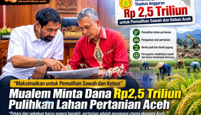 Mualem Minta Anggaran Rp2,5 Triliun Maksimal Pulihkan Sawah dan Kebun
