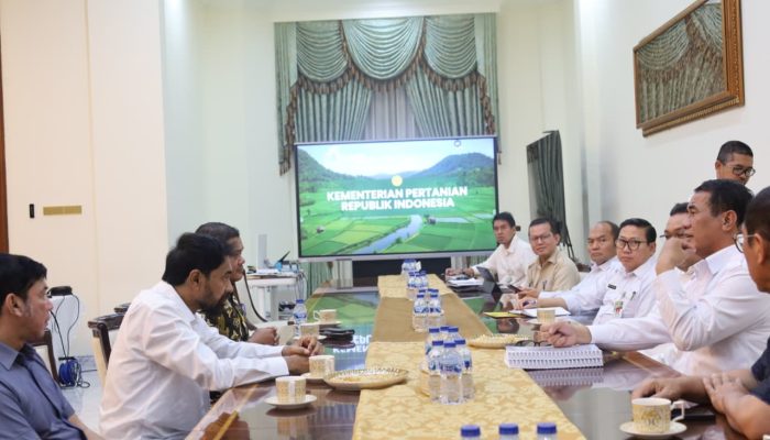 Gubernur Mualem Minta Dukungan Mentan Pulihkan Sawah dan Kebun Aceh