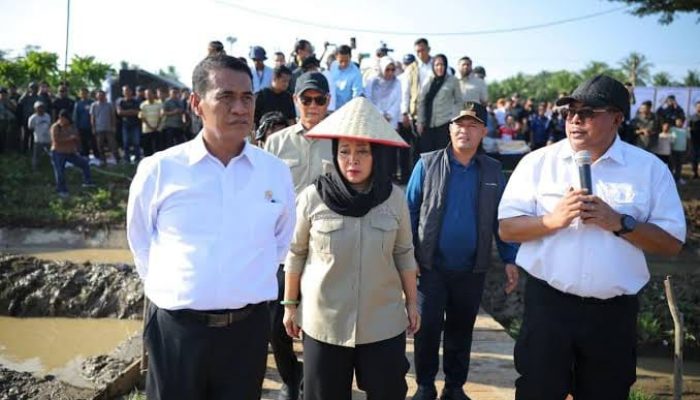 Pemerintah Aceh Jelaskan Mekanisme Bantuan Kementan untuk Pemulihan Sawah