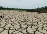 Stafsus Gubernur Terima Aduan Sawah Rusak Pascabencana Aceh