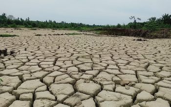Stafsus Gubernur Terima Aduan Sawah Rusak Pascabencana Aceh