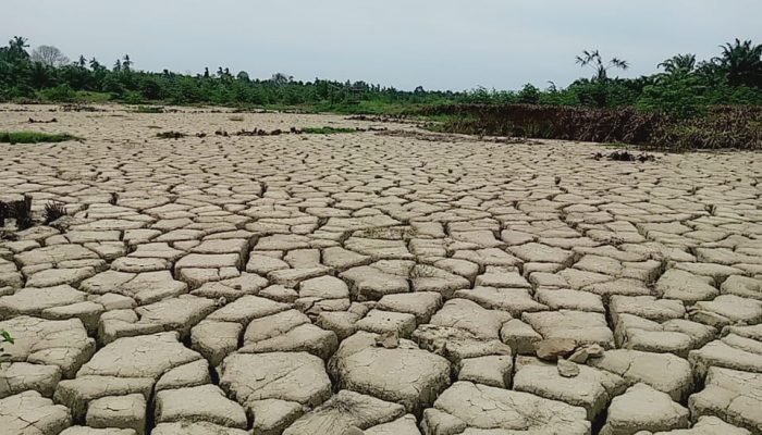 Stafsus Gubernur Terima Aduan Sawah Rusak Pascabencana Aceh